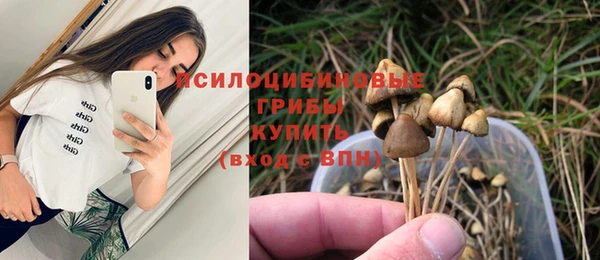 a pvp Балабаново