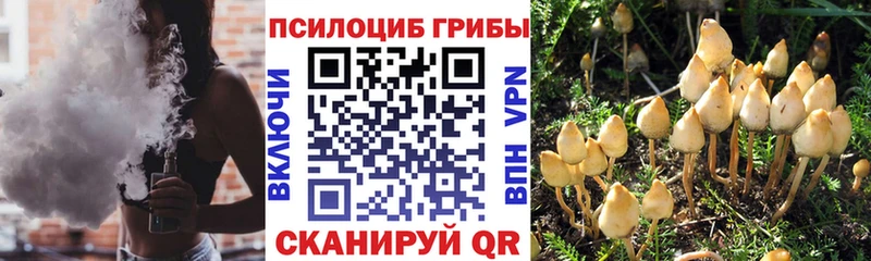 mega ССЫЛКА  Салават  Галлюциногенные грибы ЛСД 